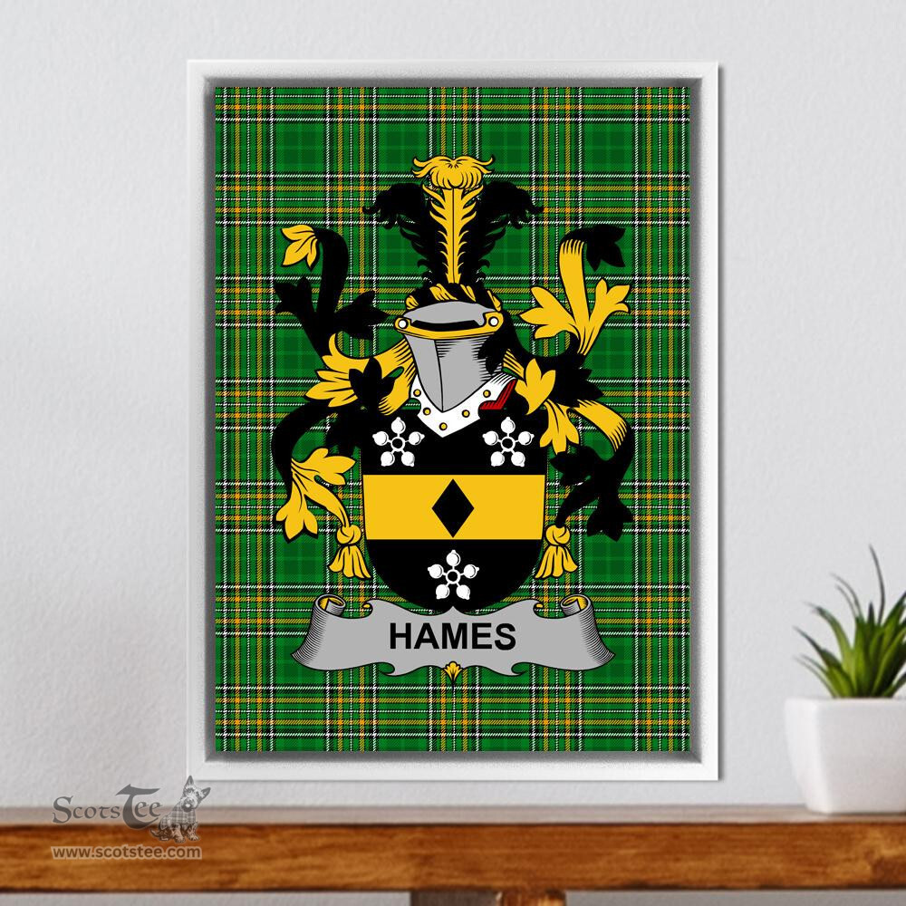 Irish Hames Coat of Arms Family Crest Ireland Framed Canvas Print Irish National Tartan