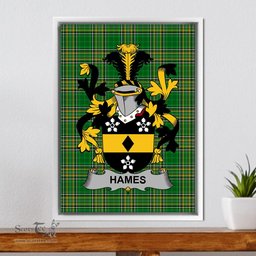 Irish Hames Coat of Arms Family Crest Ireland Framed Canvas Print Irish National Tartan