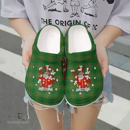 Irish Dick Coat of Arms Family Crest Ireland Clogs Irish National Tartan Irish County Clogs