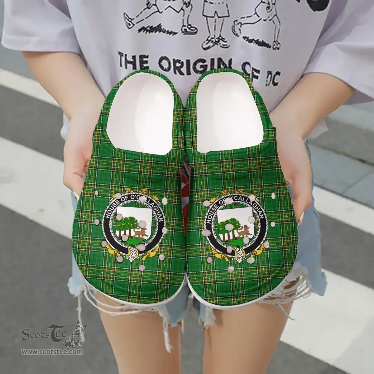 Irish House of O'CALLAGHAN Coat of Arms Family Crest Ireland Clogs Irish National Tartan Irish County Clogs