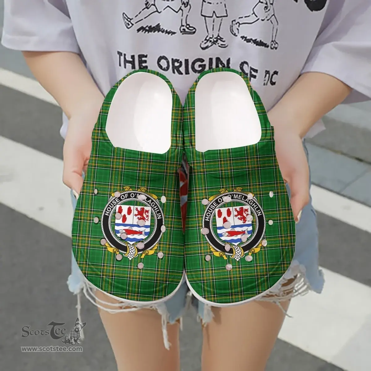 Irish House of O'MELAGHLIN Coat of Arms Family Crest Ireland Clogs Irish National Tartan Irish County Clogs