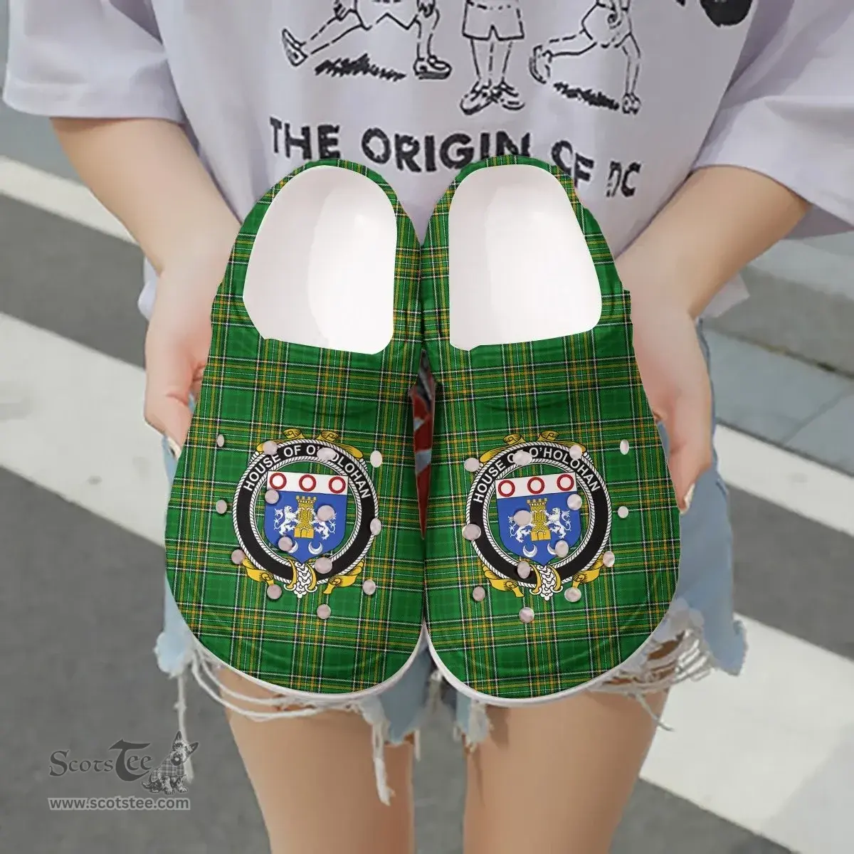 Irish House of O'HOLOHAN Coat of Arms Family Crest Ireland Clogs Irish National Tartan Irish County Clogs