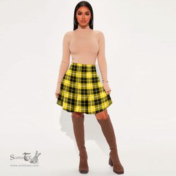 Scottish Barclay Dress Modern Clan Tartan Womens Mini Skirt Tartan Plaid Skirt