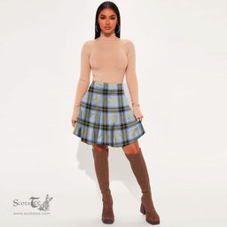 Scottish Bell of the Borders Clan Tartan Womens Mini Skirt Tartan Plaid Skirt