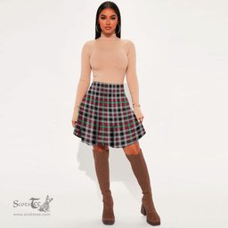 Scottish Borthwick Ancient Clan Tartan Womens Mini Skirt Tartan Plaid Skirt