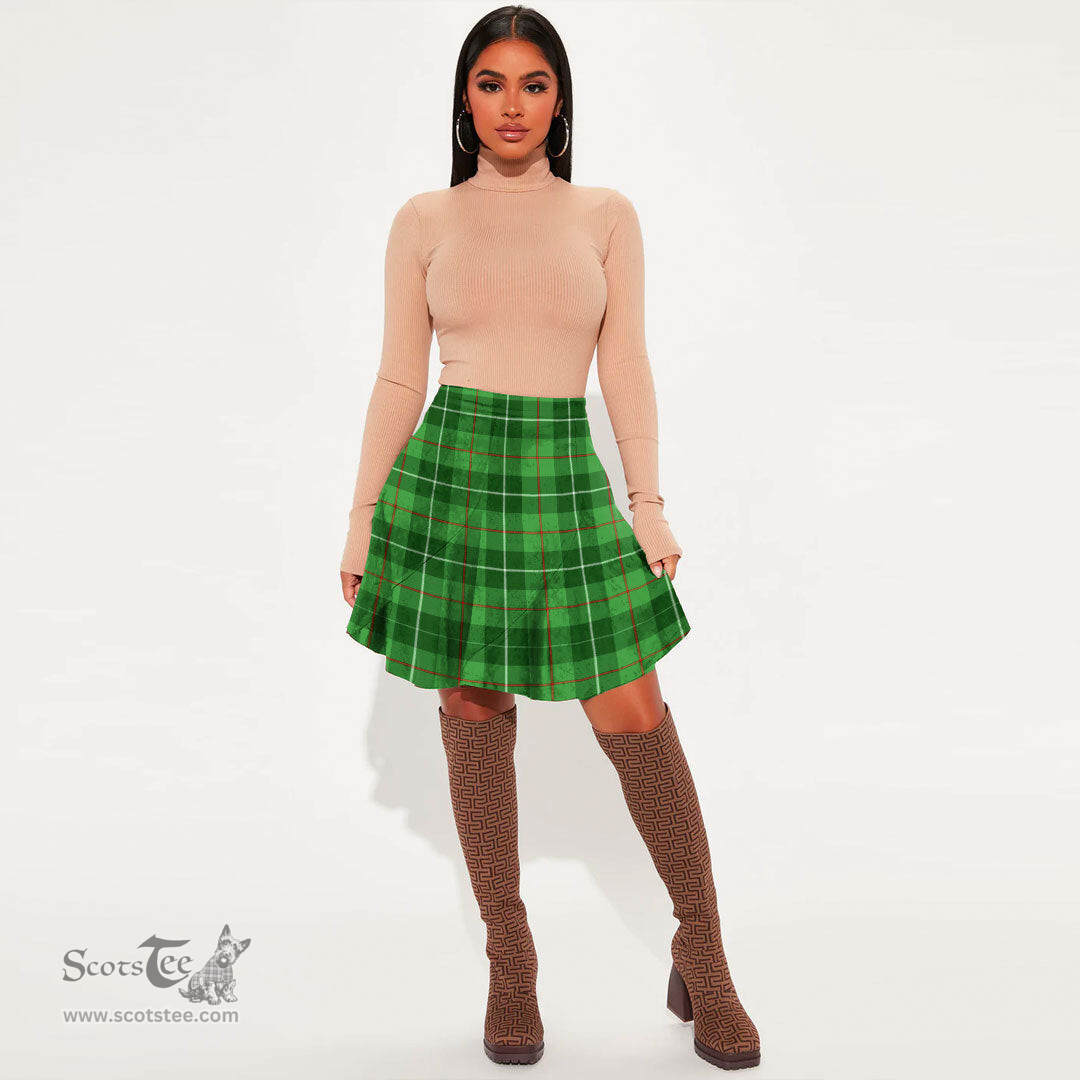 Scottish Galloway District Clan Tartan Womens Mini Skirt Tartan Plaid Skirt