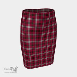 Scottish Little Clan Tartan Womens Pencil Skirt Tartan Fitted Skirt