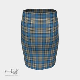 Scottish Napier Ancient Clan Tartan Womens Pencil Skirt Tartan Fitted Skirt
