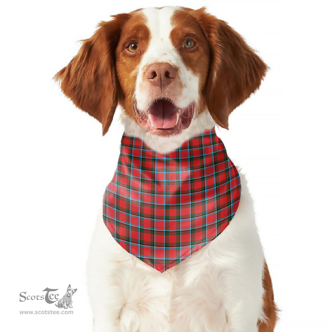 Scottish Sinclair Modern Clan Tartan Pets Scarf Pet Dog Bandana