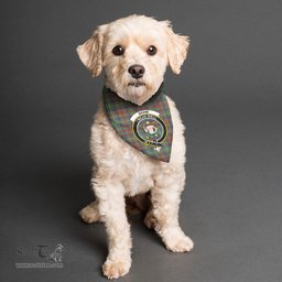 Scottish Shaw Green Modern Clan Crest Tartan Pets Scarf Pet Dog Bandana