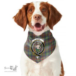 Scottish Shaw Green Modern Clan Crest Tartan Pets Scarf Pet Dog Bandana