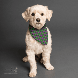 Scottish Selkirk Clan Tartan Pets Scarf Pet Dog Bandana