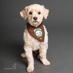 Scottish Skene Modern Clan Crest Tartan Pets Scarf Pet Dog Bandana