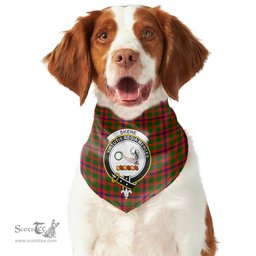 Scottish Skene Modern Clan Crest Tartan Pets Scarf Pet Dog Bandana