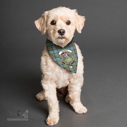 Scottish Paisley District Clan Crest Tartan Pets Scarf Pet Dog Bandana