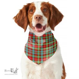 Scottish Ogilvie Clan Tartan Pets Scarf Pet Dog Bandana