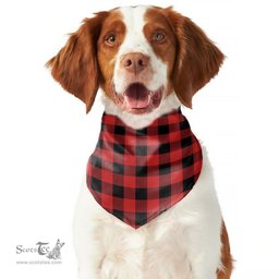 Scottish Rob Roy MacGregor Modern Clan Tartan Pets Scarf Pet Dog Bandana