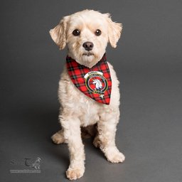 Scottish Ramsay Modern Clan Crest Tartan Pets Scarf Pet Dog Bandana