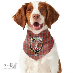Scottish Robertson Weathered Clan Crest Tartan Pets Scarf Pet Dog Bandana