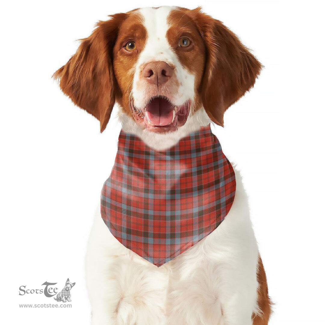 Scottish Robertson Weathered Clan Tartan Pets Scarf Pet Dog Bandana