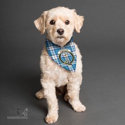 Scottish Roberton Clan Crest Tartan Pets Scarf Pet Dog Bandana