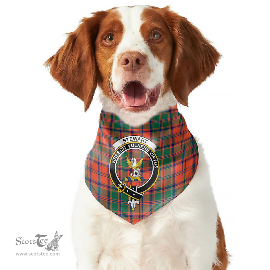 Scottish Stewart of Appin Ancient Clan Crest Tartan Pets Scarf Pet Dog Bandana