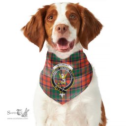 Scottish Stewart of Appin Ancient Clan Crest Tartan Pets Scarf Pet Dog Bandana