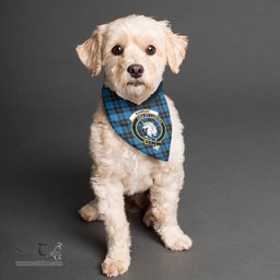 Scottish Ramsay Blue Ancient Clan Crest Tartan Pets Scarf Pet Dog Bandana