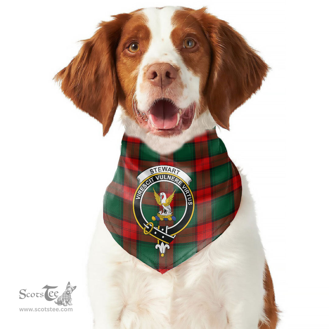Scottish Stewart Atholl Modern Clan Crest Tartan Pets Scarf Pet Dog Bandana