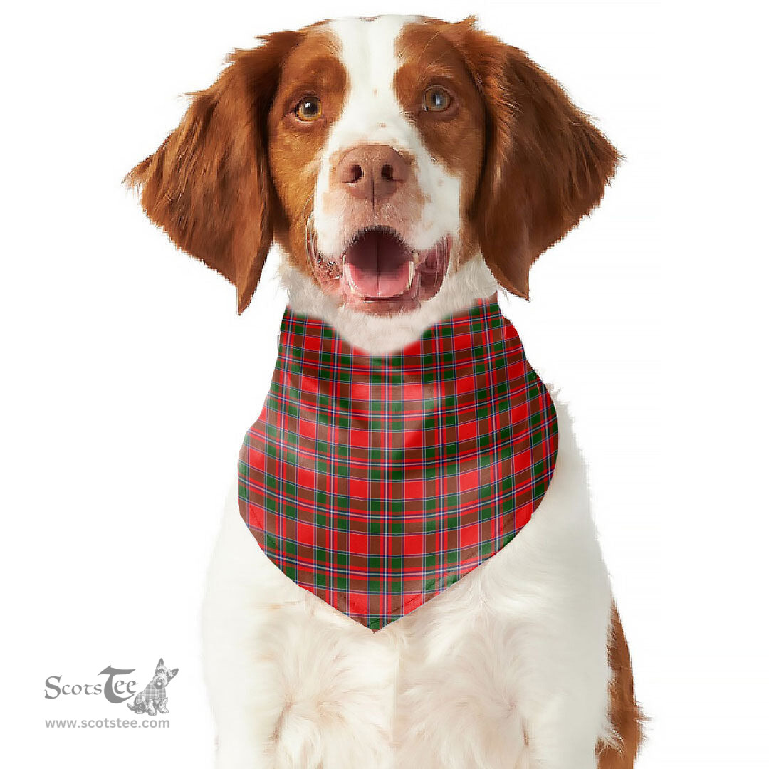 Scottish Spens Modern Clan Tartan Pets Scarf Pet Dog Bandana