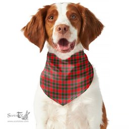 Scottish Spens Modern Clan Tartan Pets Scarf Pet Dog Bandana