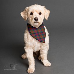 Scottish Tennant Clan Tartan Pets Scarf Pet Dog Bandana