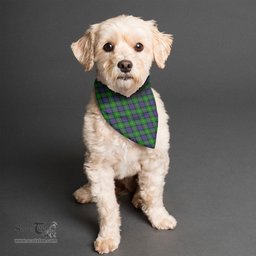 Scottish Tait Modern Clan Tartan Pets Scarf Pet Dog Bandana