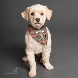 Scottish Stewart Royal Ancient Clan Crest Tartan Pets Scarf Pet Dog Bandana
