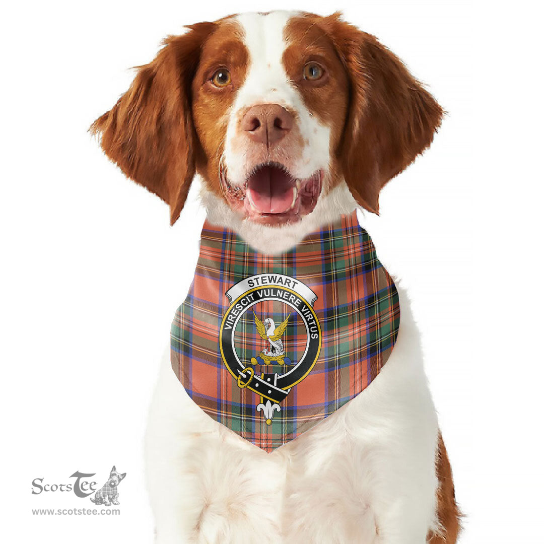 Scottish Stewart Royal Ancient Clan Crest Tartan Pets Scarf Pet Dog Bandana
