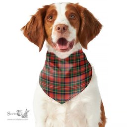 Scottish Stewart Royal Modern Clan Tartan Pets Scarf Pet Dog Bandana