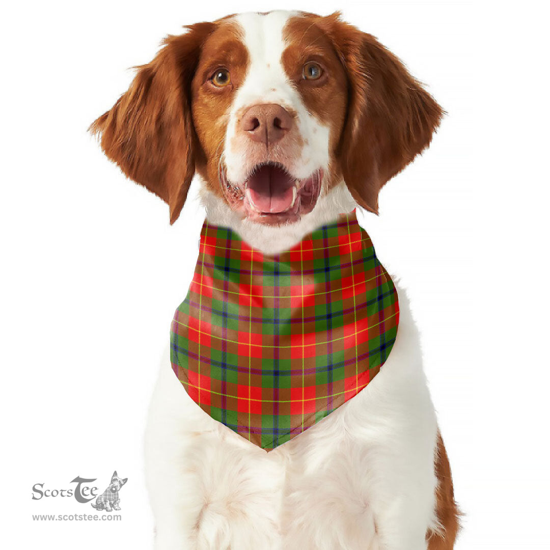 Scottish Turnbull Dress Clan Tartan Pets Scarf Pet Dog Bandana