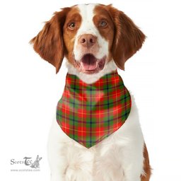 Scottish Turnbull Dress Clan Tartan Pets Scarf Pet Dog Bandana