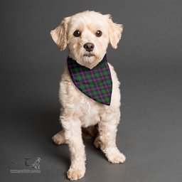 Scottish Urquhart Modern Clan Tartan Pets Scarf Pet Dog Bandana