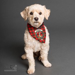 Scottish Wallace Hunting Red Clan Crest Tartan Pets Scarf Pet Dog Bandana