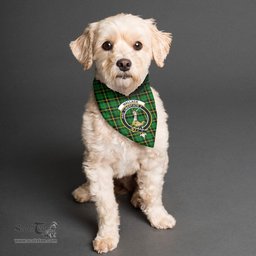 Scottish Wallace Hunting Green Clan Crest Tartan Pets Scarf Pet Dog Bandana