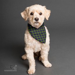 Scottish Watson Modern Clan Tartan Pets Scarf Pet Dog Bandana