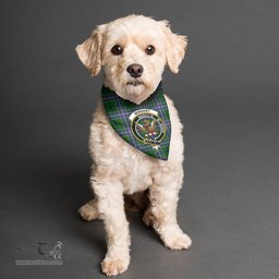 Scottish Wishart Hunting Modern Clan Crest Tartan Pets Scarf Pet Dog Bandana