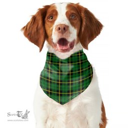 Scottish Wallace Hunting Green Clan Tartan Pets Scarf Pet Dog Bandana