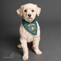 Scottish Urquhart Ancient Clan Crest Tartan Pets Scarf Pet Dog Bandana