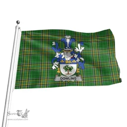 Irish Dowling or O'Dowling Coat of Arms Family Crest Ireland Flag Irish National Tartan Irish County Flag