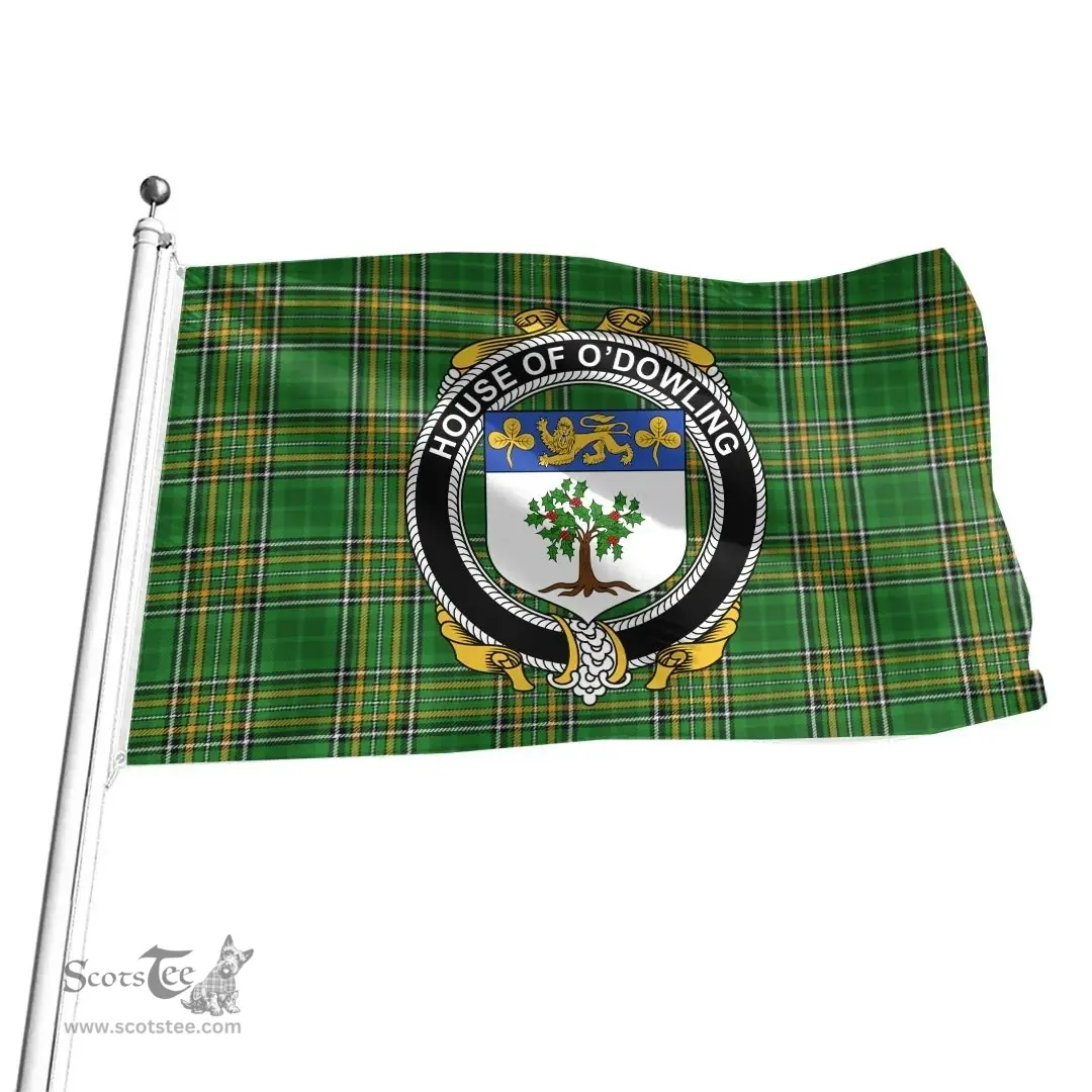 Irish House of O'DOWLING Coat of Arms Family Crest Ireland Flag Irish National Tartan Irish County Flag