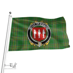 Irish House of O'GALVIN Coat of Arms Family Crest Ireland Flag Irish National Tartan Irish County Flag