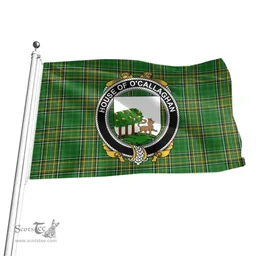 Irish House of O'CALLAGHAN Coat of Arms Family Crest Ireland Flag Irish National Tartan Irish County Flag