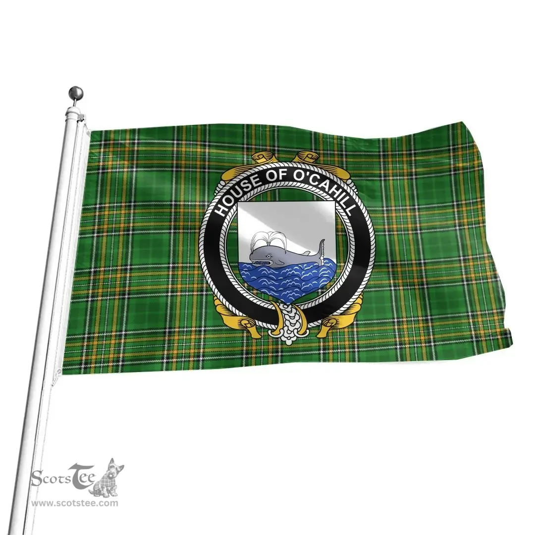 Irish House of O'CAHILL Coat of Arms Family Crest Ireland Flag Irish National Tartan Irish County Flag